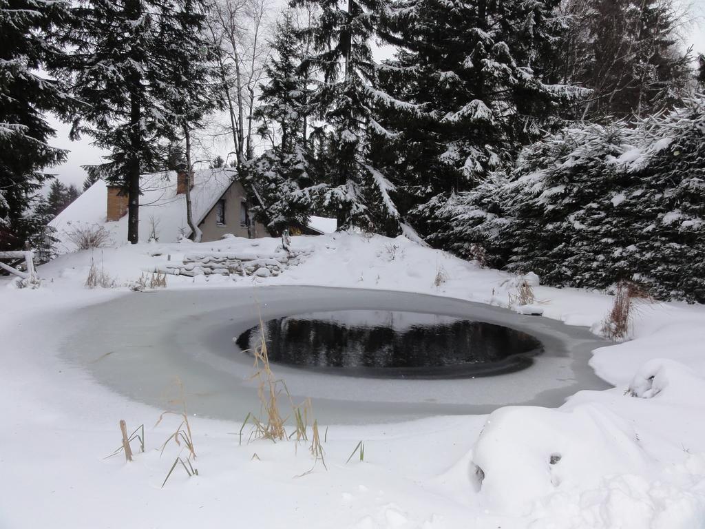 Hotel Pavla Vysocina Nove Mesto na Morave Zewnętrze zdjęcie