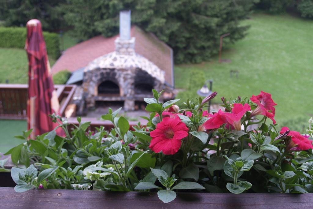 Hotel Pavla Vysocina Nove Mesto na Morave Pokój zdjęcie